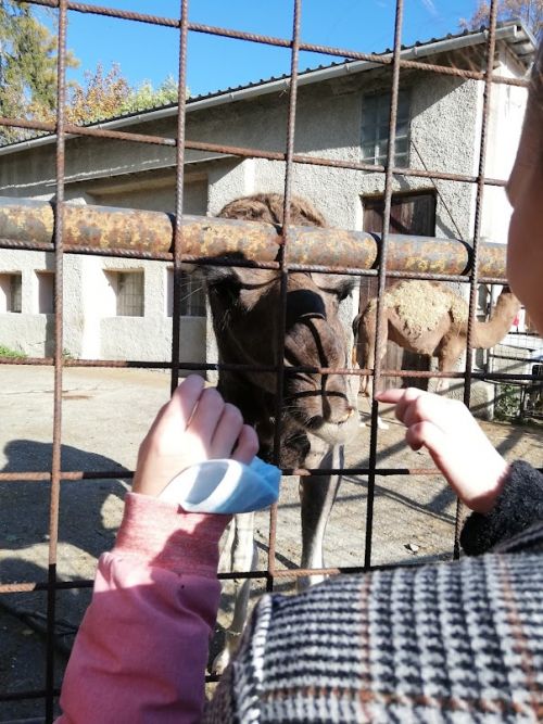 Výlet do ZOO Olomouc